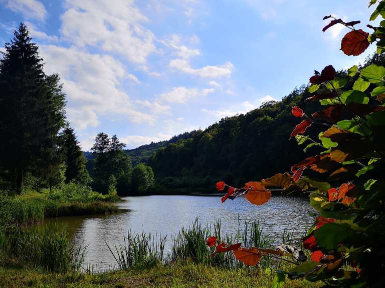 Der Taunus-Wichtel-Weg – die schönsten Wanderungen im Taunus | hike ...