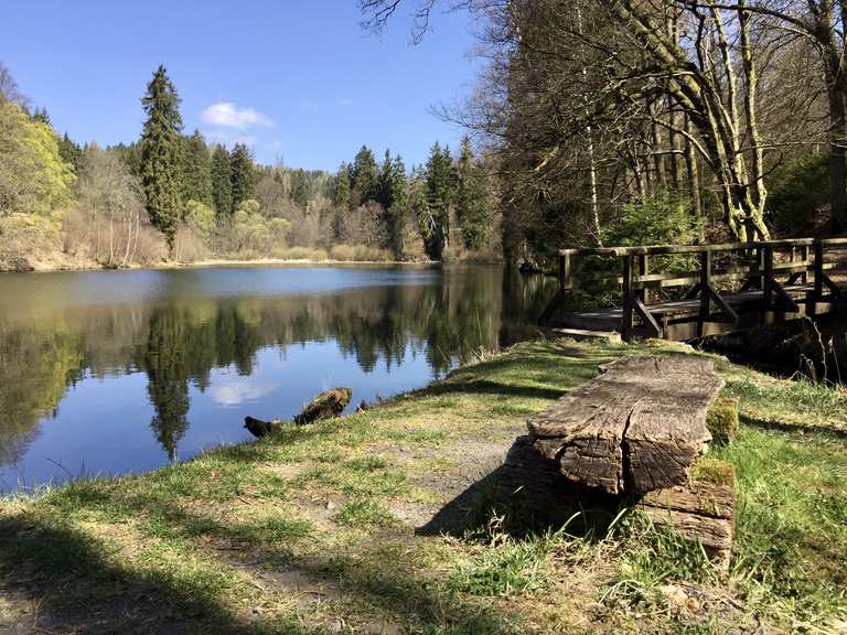 Neuer Teich, Wanderungen und Rundwege komoot