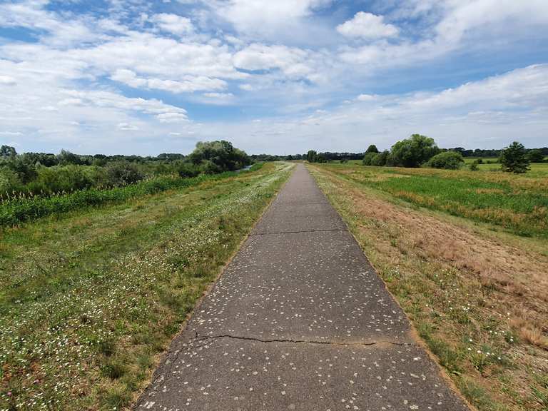 Weg an der Spree DissenStriesow, SpreeNeiße