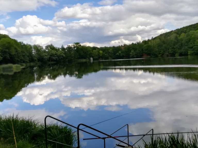 Vatteröder Teich Wanderungen und Rundwege komoot