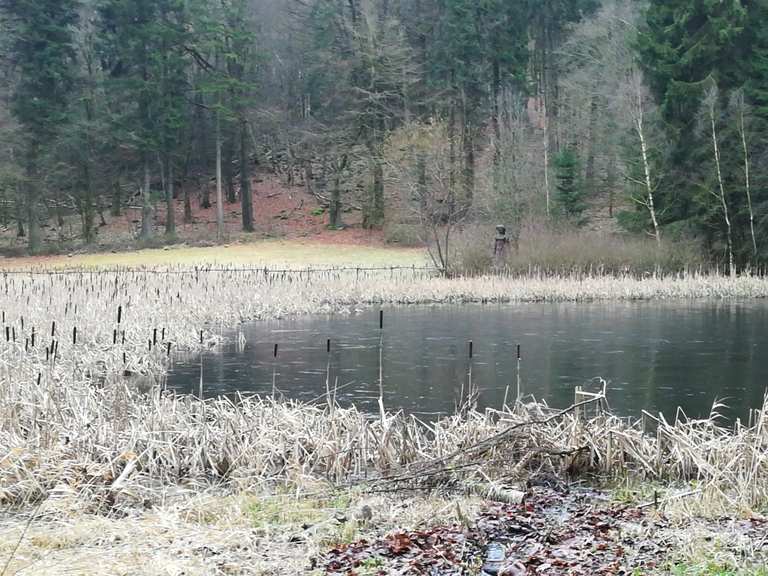 Frau Holle Teich Mountain Bike Trails & Tracks Komoot