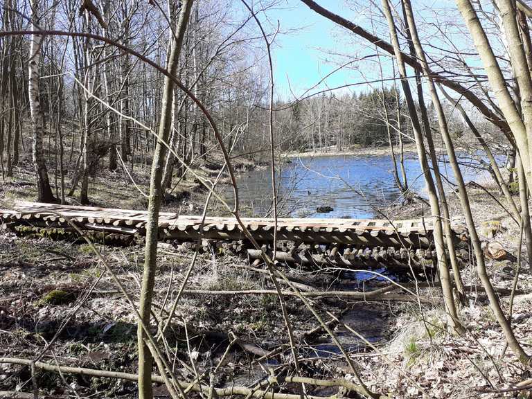 Knüppeldamm Wanderungen und Rundwege komoot