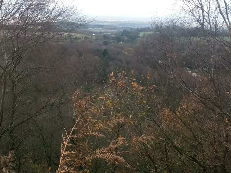 Bickerton Hill Routes for Walking and Hiking Komoot
