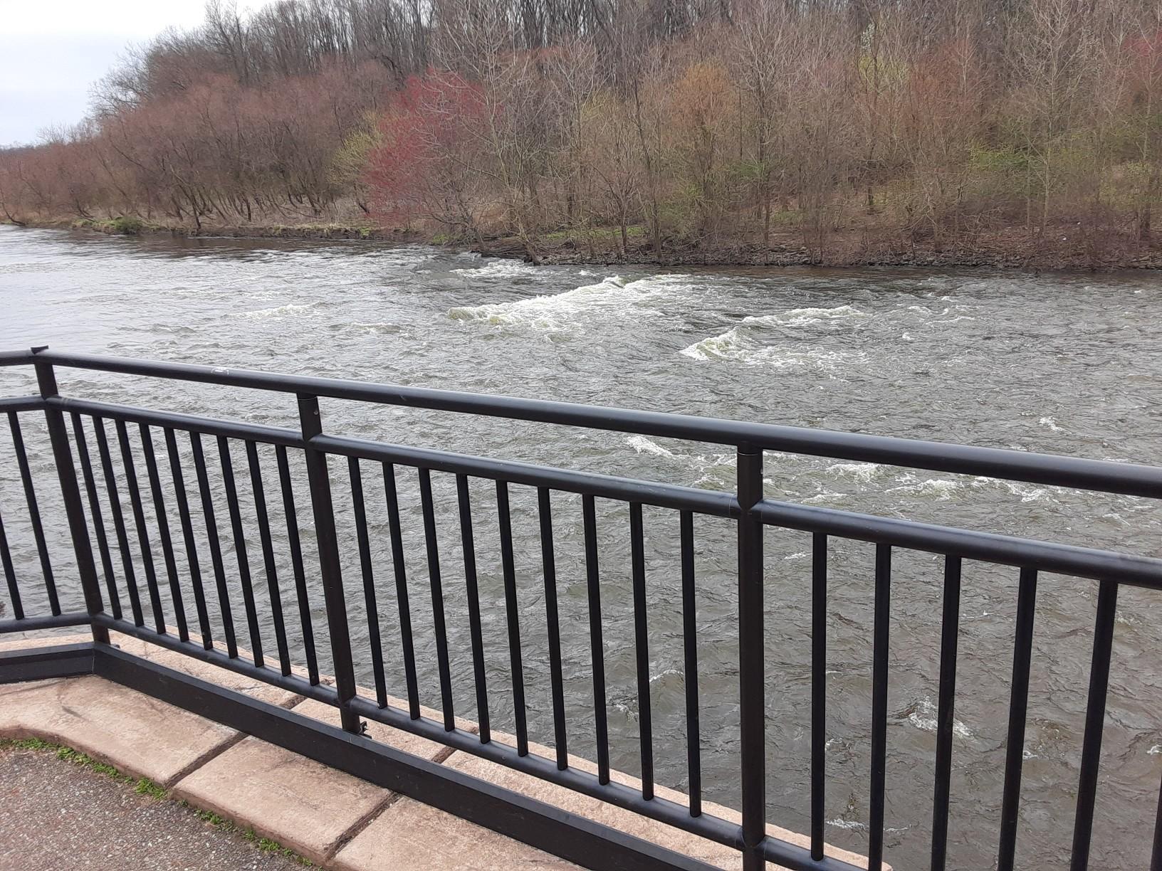 Black railing overlooks a wide, fast-flowing river with trees on the far bank.