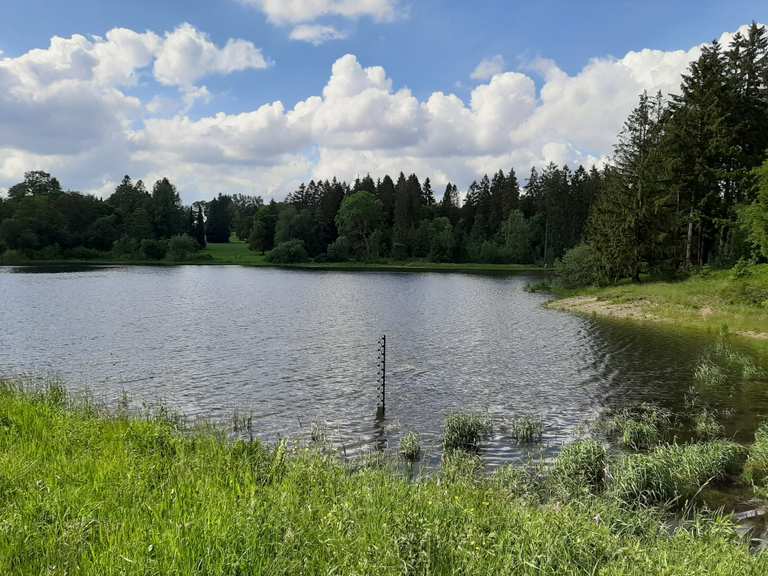 Schwarzenbacher Teich Routes for Walking and Hiking Komoot
