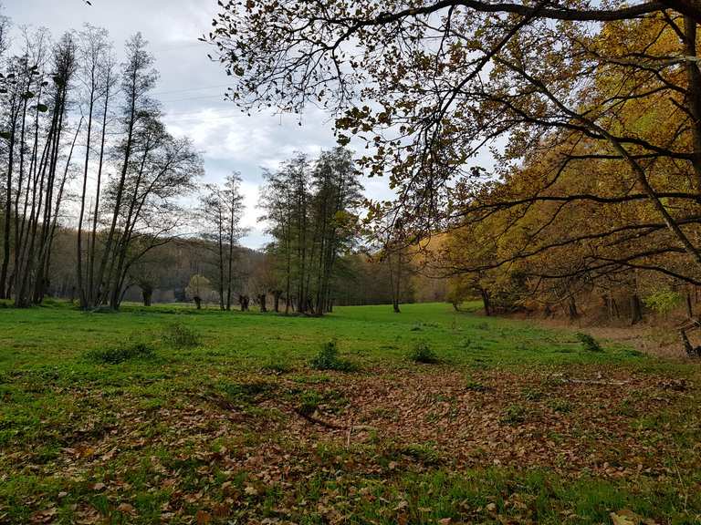 Triebischtal Wanderungen und Rundwege komoot