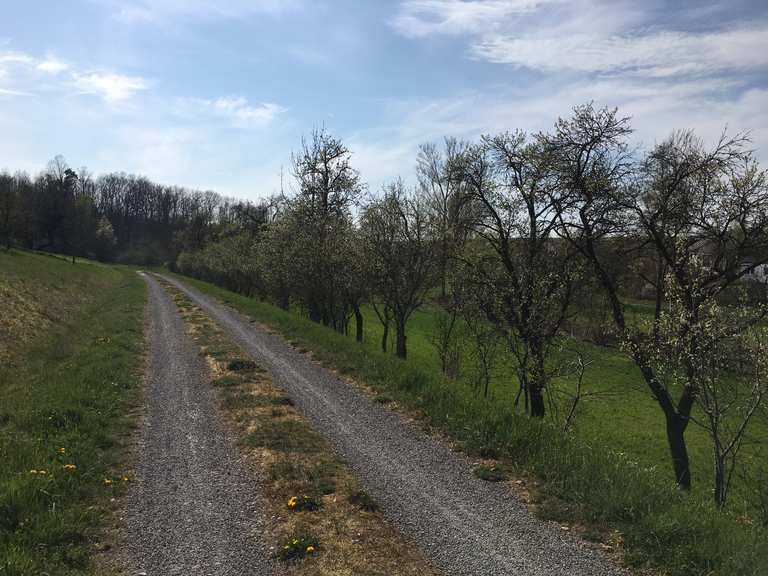 Brauschmiede Mainbernheim Feldkapelle Willanzheim Runde