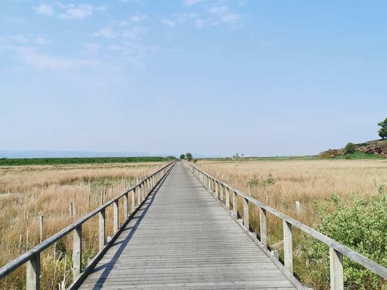 Burton Marsh Boardwalk Cycle Routes and Map Komoot