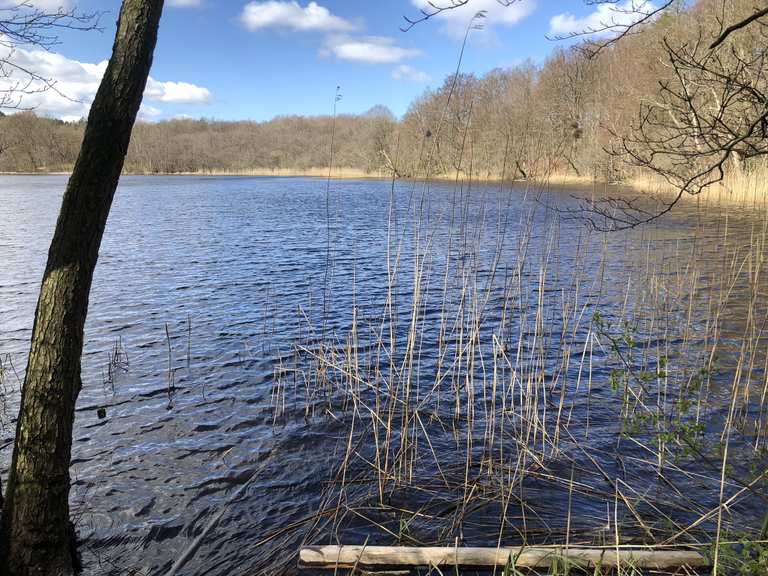 Avnsø Routes for Walking and Hiking | Komoot