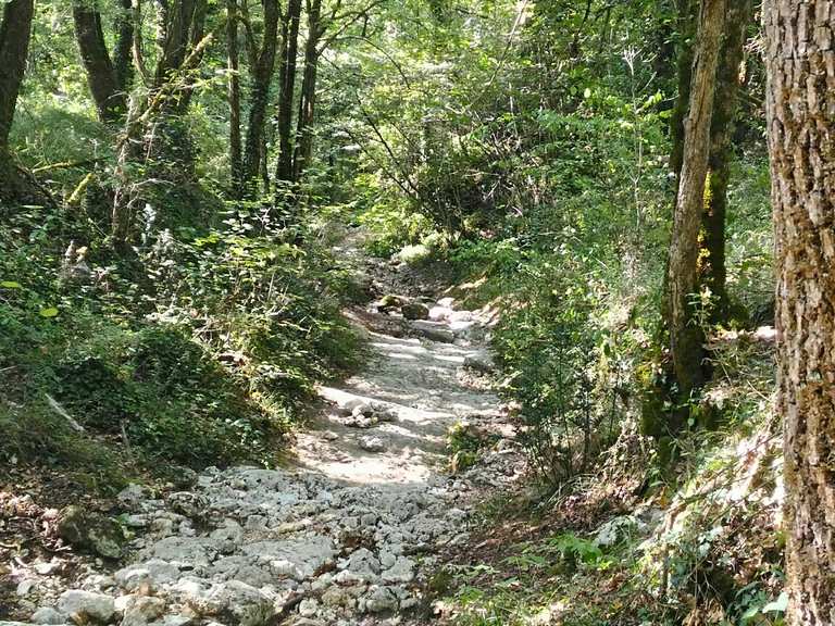 Vallée des Eaux Claires Itinéraires de rando et marche Komoot