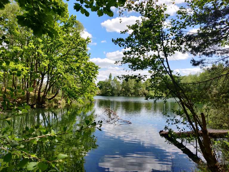 Kolshorner Teich wandelroutes en hikes Komoot