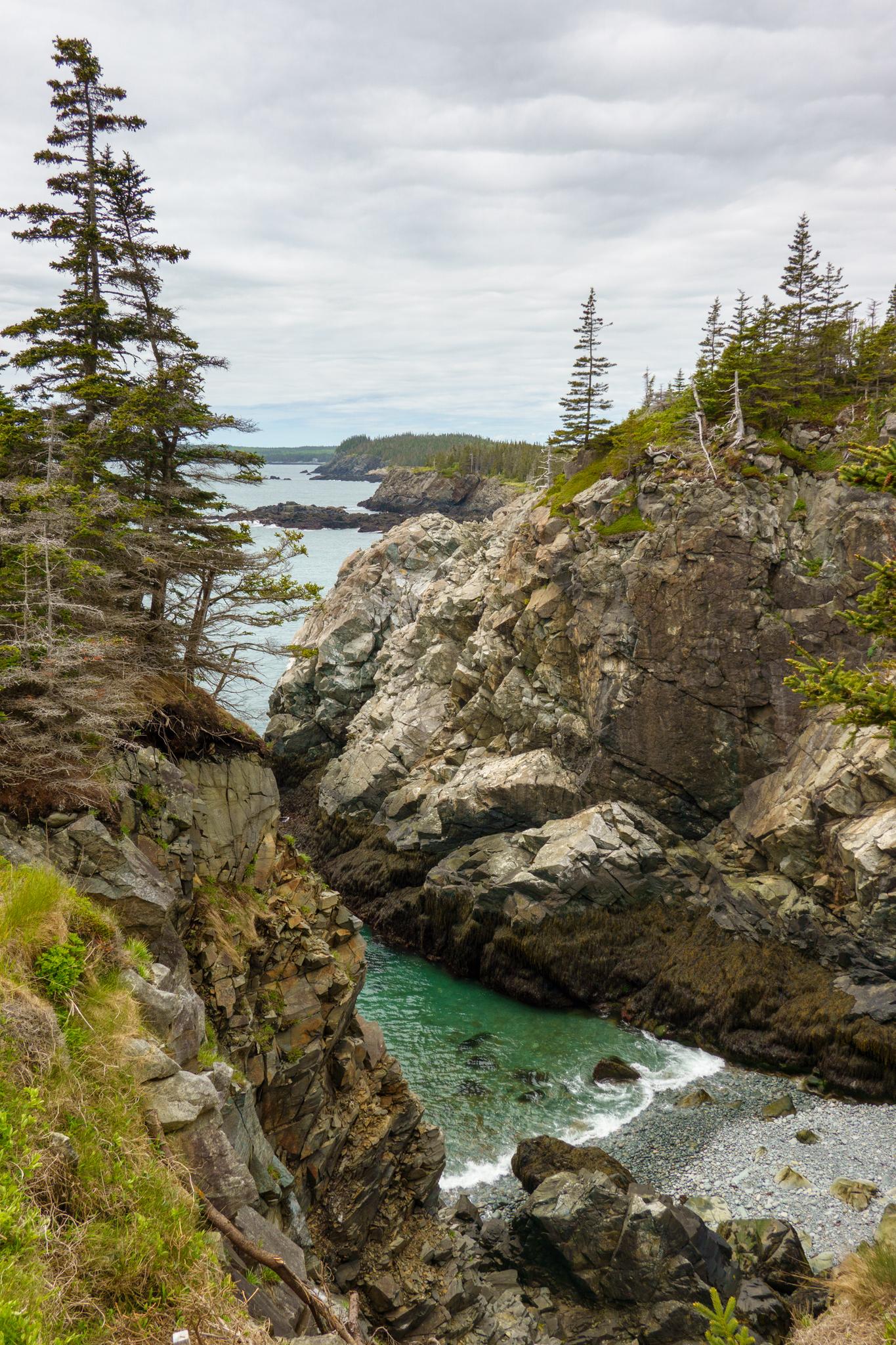 Rocky cove with turquoise water, steep cliffs, and pine trees under overcast sky.