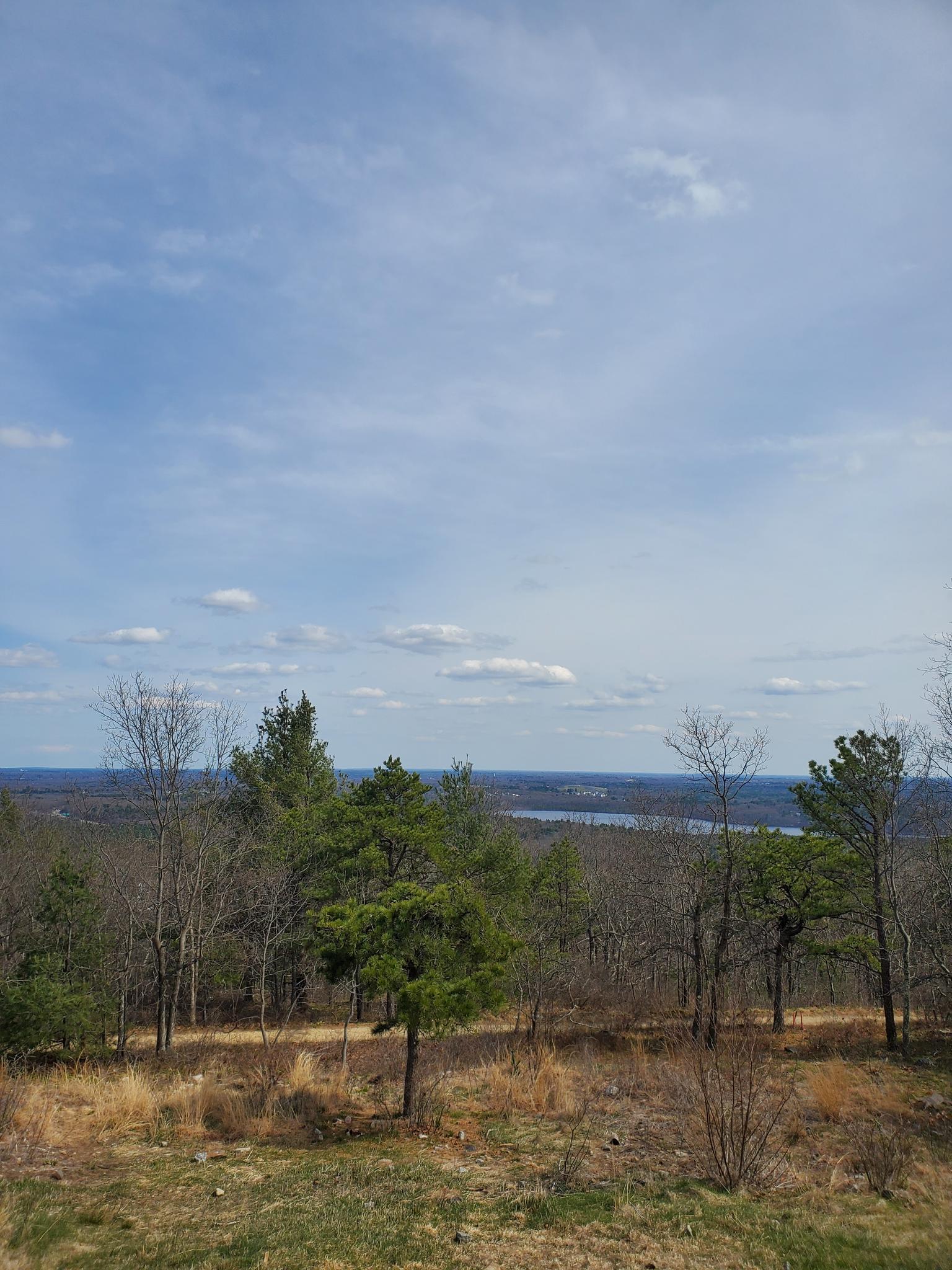 Overlook of a vast forest with a distant lake under a partly cloudy sky.