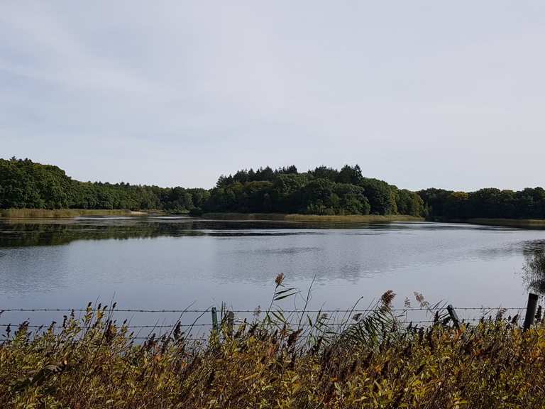 Bredenbeker Teich Routes for Walking and Hiking Komoot