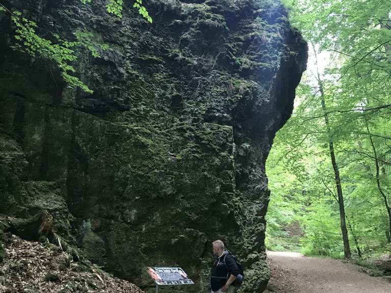 Filmkulisse Des Marchens Das Kalte Herz Tabarz Gotha Wandertipps Fotos Komoot