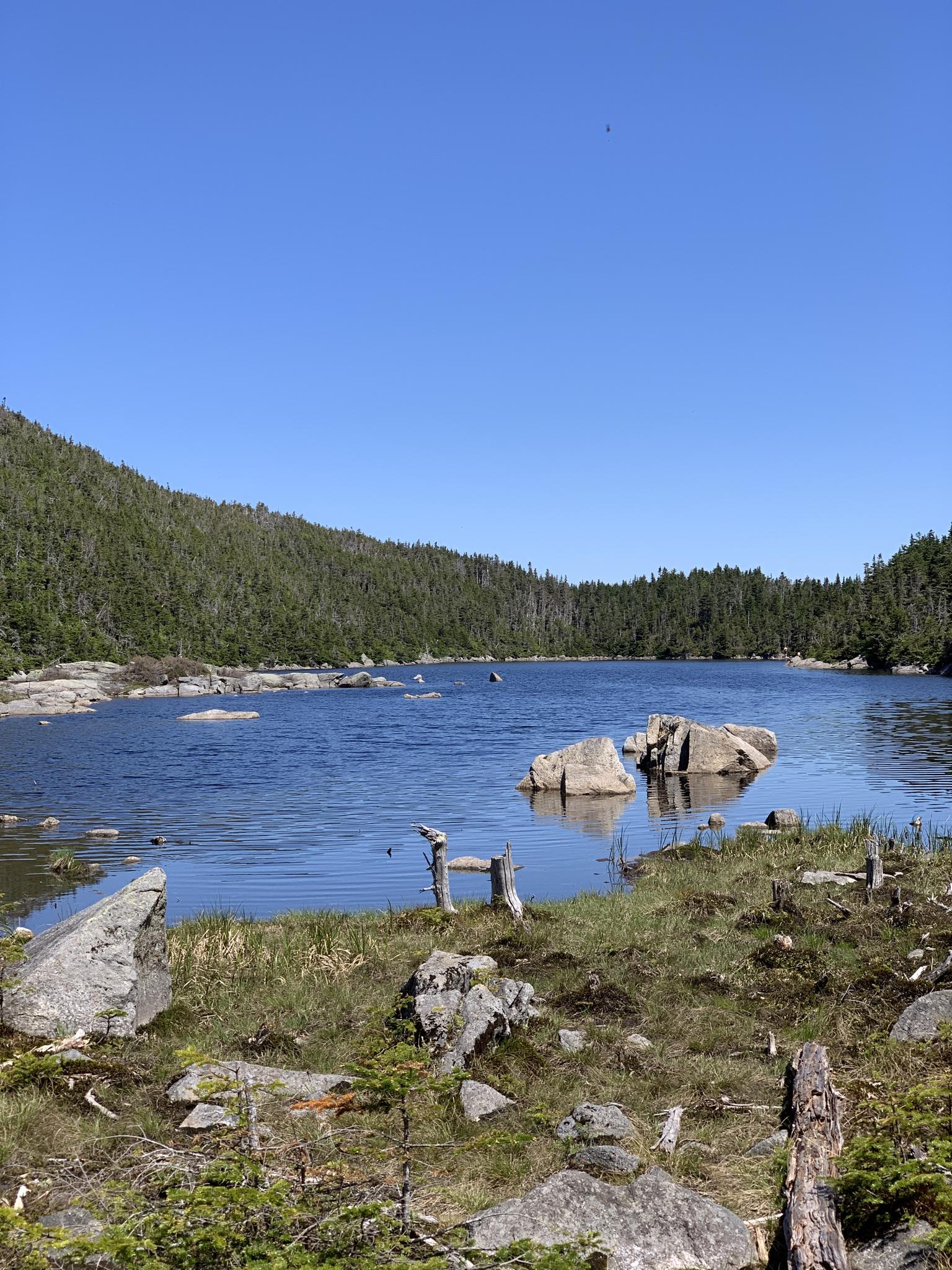 Serene blue lake with rocks, surrounded by green forests under clear sky.