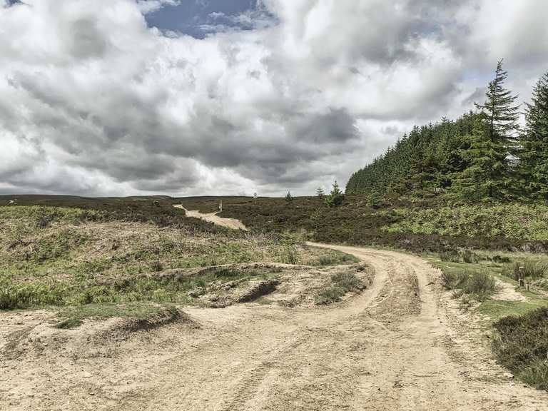 Blanchard Moor & Edmundbyers Common loop — The North Pennines