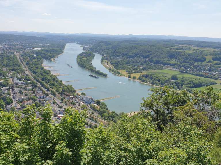 Schöne Aussicht aufs Rheintal: Wanderungen und Rundwege | komoot