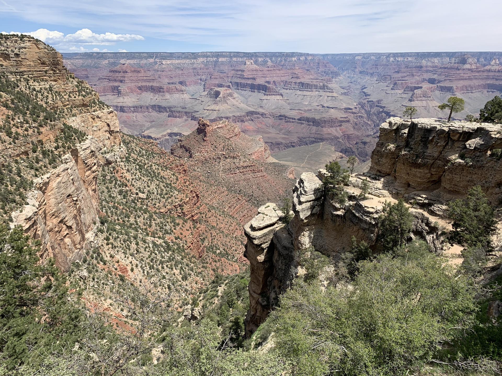 Deep canyon vista with layered rock formations and sparse green vegetation, bright daylight.