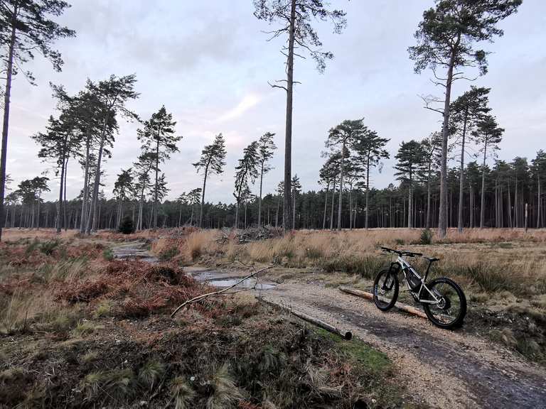 Swinley discount forest mtb