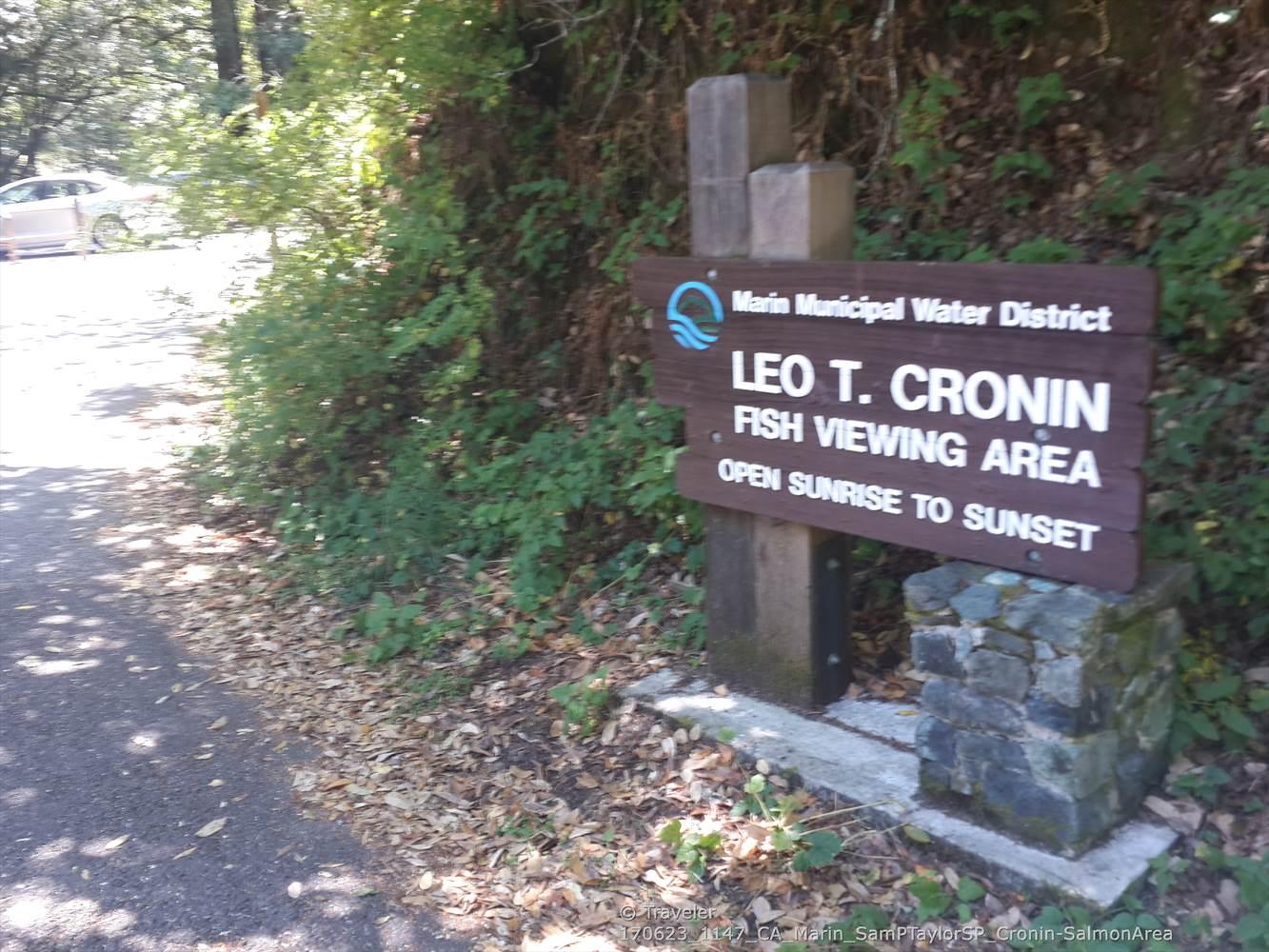 A wooden sign stands on a sunny dirt path, surrounded by green foliage and trees.