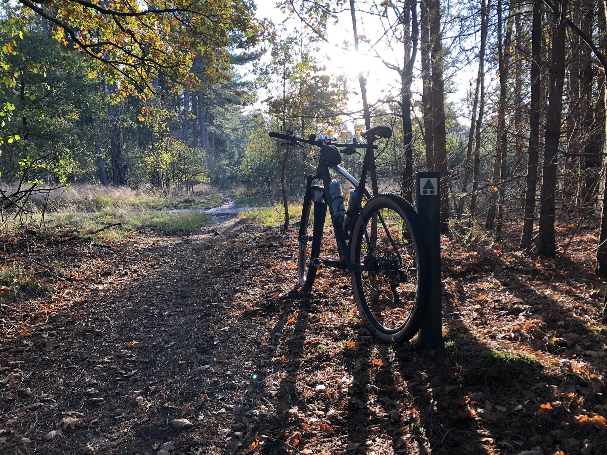Oirschotse Heide – Oirschotse Heidetrail 1 Rondje vanuit Oerle-Zuid |  mountainbikeroute | Komoot