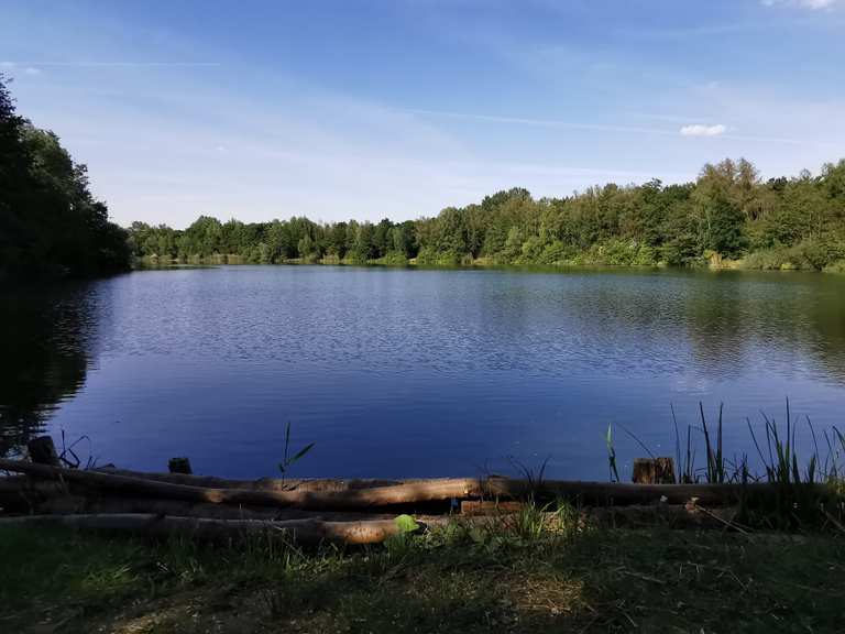 Best gay movies 2016 kannada