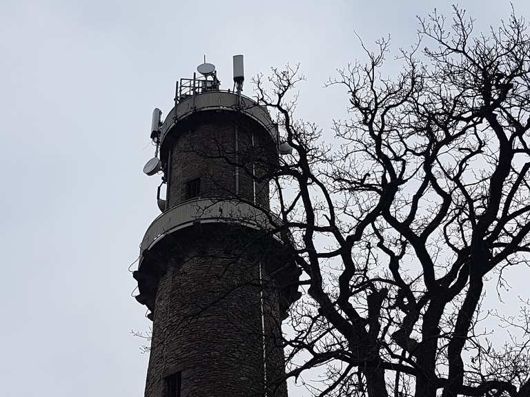 Buchberggrill: Wanderungen und Rundwege | komoot