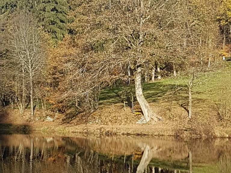 Eutersee Wanderungen und Rundwege komoot