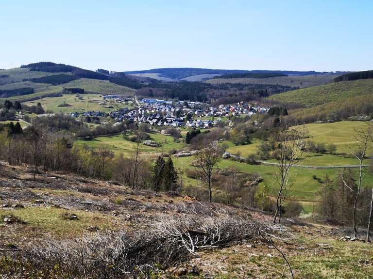 Auerhahnhütte Forsthaus Lahnquelle Runde von Sechshelden
