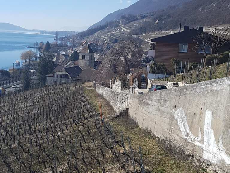 Rebenweg - Von Biel nach La Neuveville - fietsroutes en kaart | Komoot
