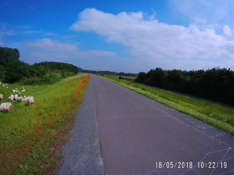 fahrrad kontrolle rhein sieg kreis 2018