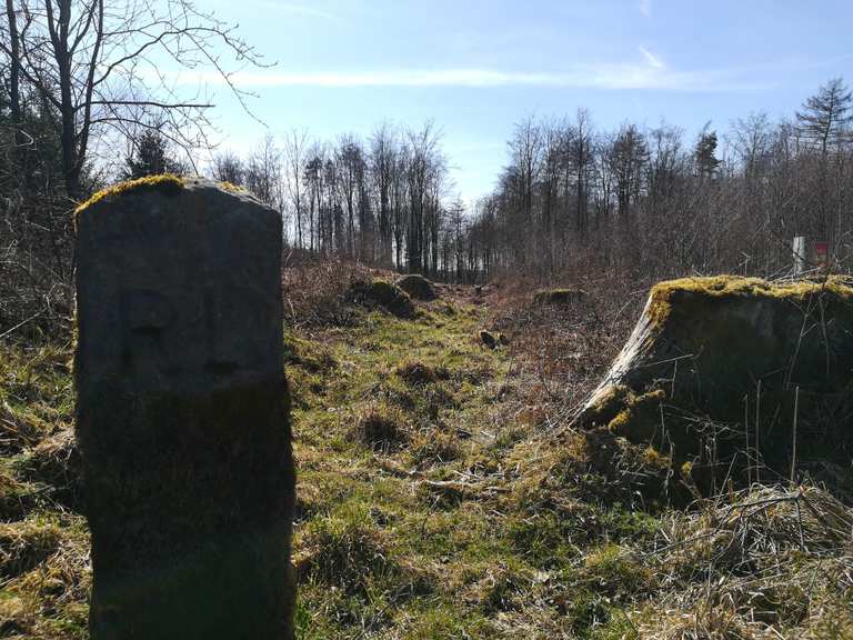 Römerlager MountainbikeTouren und Trails komoot