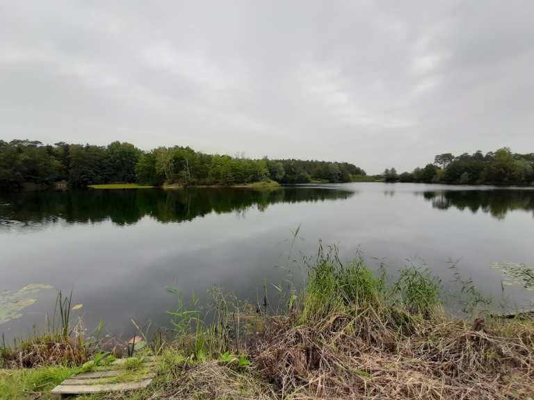 Kolshorner Teich wandelroutes en hikes Komoot