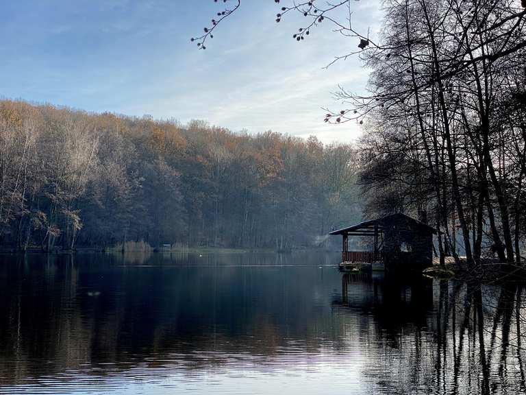 Burbacher Waldweiher Wanderungen und Rundwege komoot