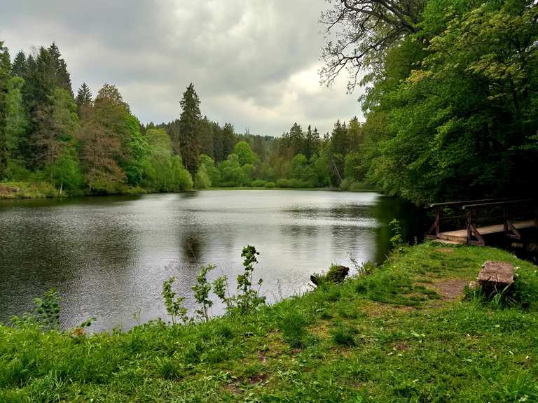 Neuer Teich, Wanderungen und Rundwege komoot