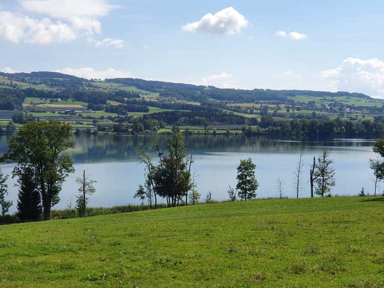 Baldeggersee Panorama-Route: Radtouren und Radwege | komoot