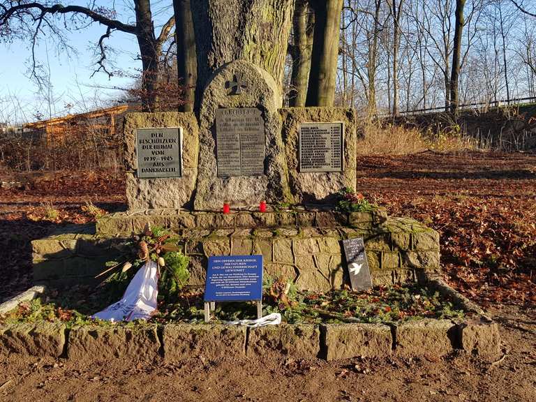 Kiebitzmoor – Volksdorfer Wald Runde von Meiendorfer Weg | Wanderung