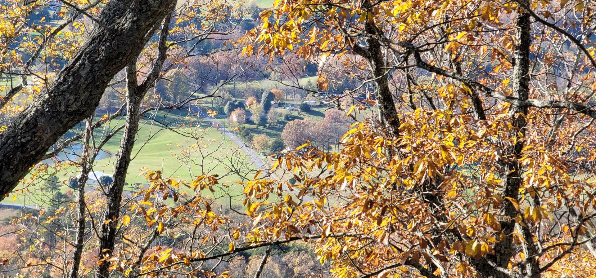 Sunny view through autumn trees to a valley with fields and houses.