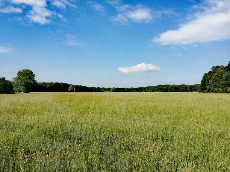 Schwanheimer Wiesen Wanderungen und Rundwege komoot