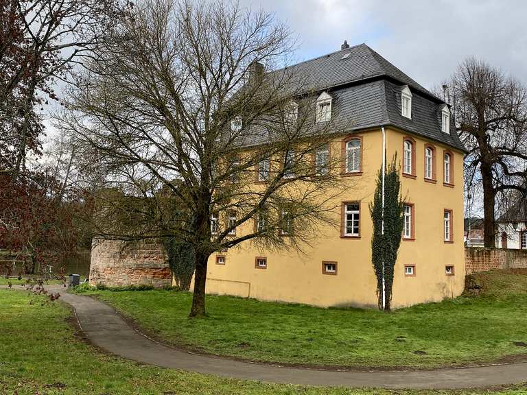 Gustavsburg Wanderungen und Rundwege komoot