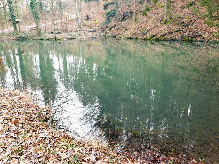 Römersee Wanderungen und Rundwege komoot
