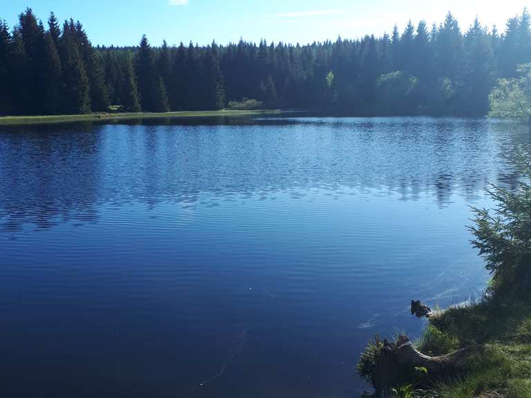 41+ Wüster Teich Altenberg, Dem alltag entfliehen und ein paar