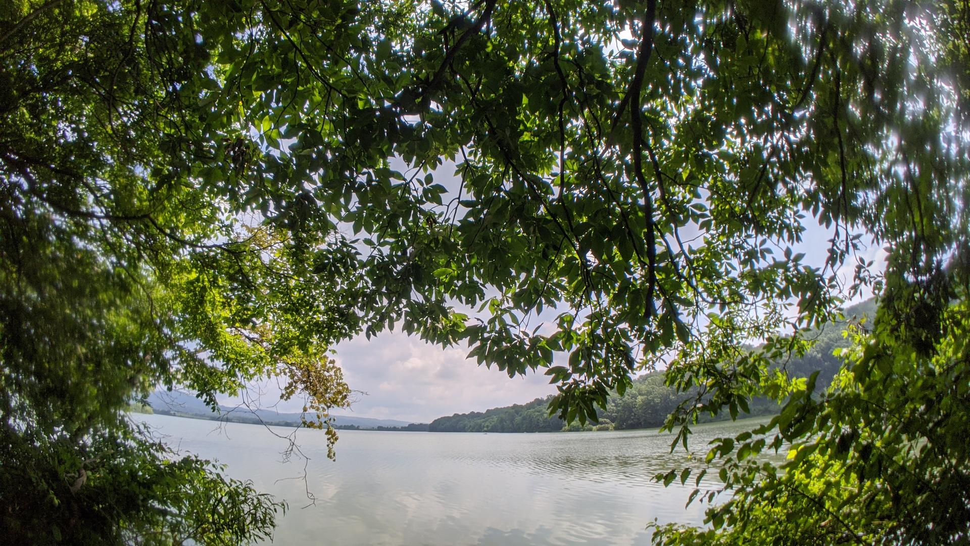 Calm lake framed by lush green tree branches under an overcast sky.