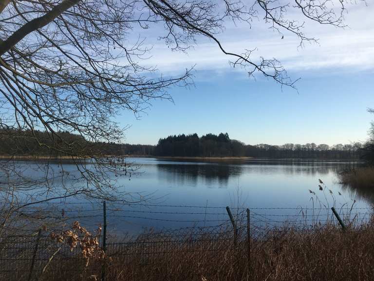 Entlang des Bredenbecker Teiches Wanderungen und Rundwege komoot