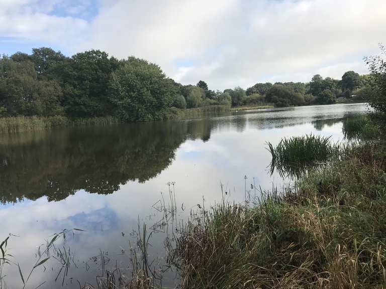 Timmenhorner Teich Radtouren und Radwege komoot