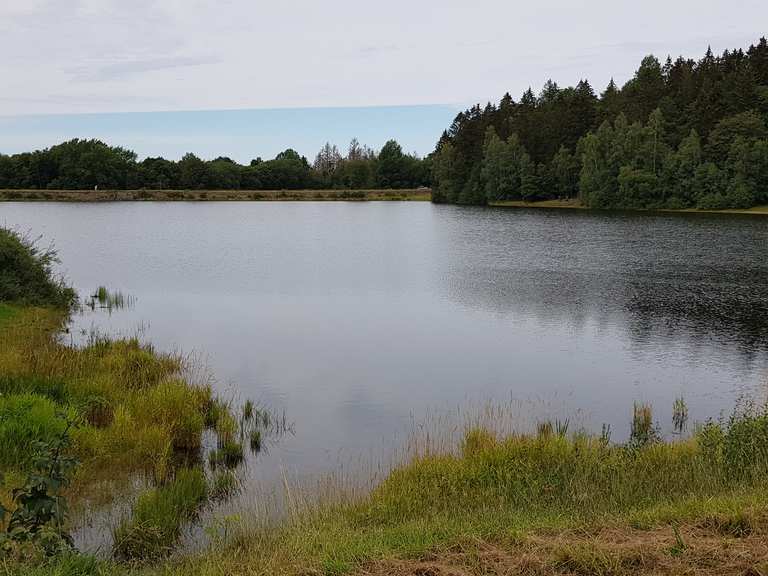 Oberer Hausherzberger Teich Wanderungen und Rundwege komoot