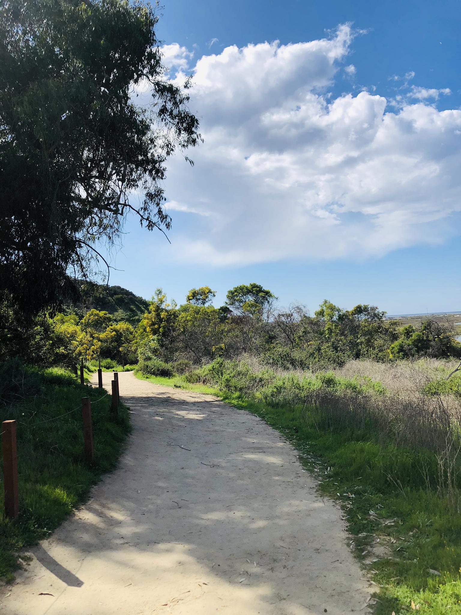 Dirt path winding through green fields and trees, bright cloudy sky.