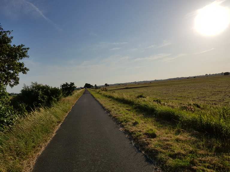 grüner weg mit fahrrad finforff waterfront