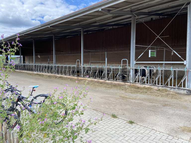 Fahrrad Shop Gudensberg